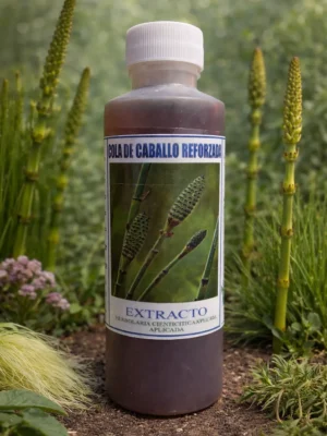 Cola De Caballo Reforzada Extracto