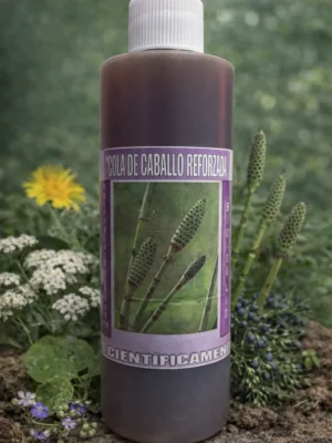 Cola De Caballo Reforzado Jarabe