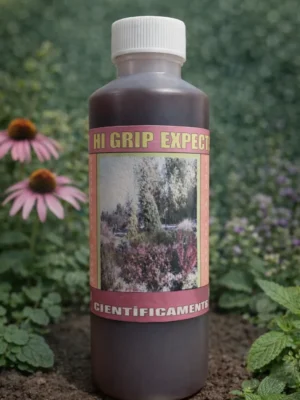 Echi Grip Expectorante Jarabe