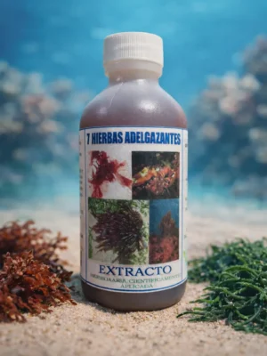 7 Hierbas Adelgazantes Extracto