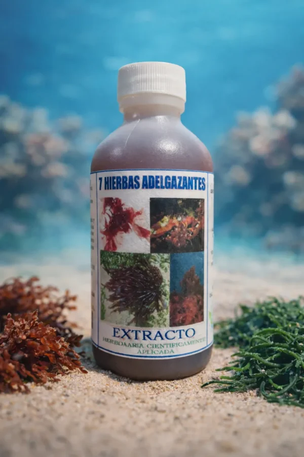 7 Hierbas Adelgazantes Extracto